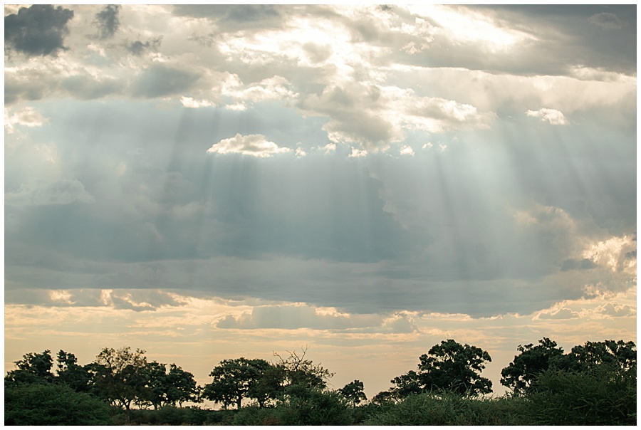 Chobe National Park Safari Botswana-1178_blog