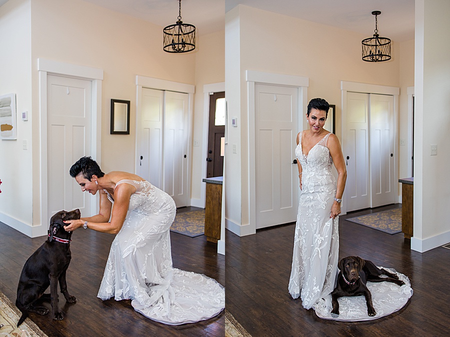 bride with chocolate lab