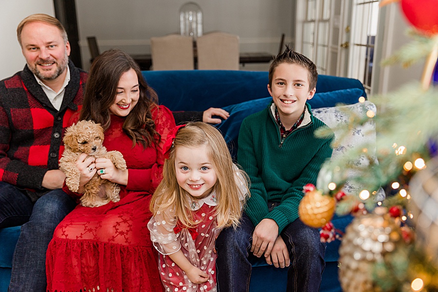 family portraits by Christmas tree with puppy
