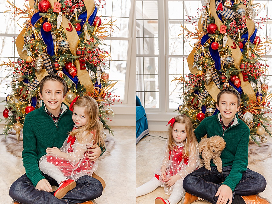 siblings with puppy in front of christmas tree