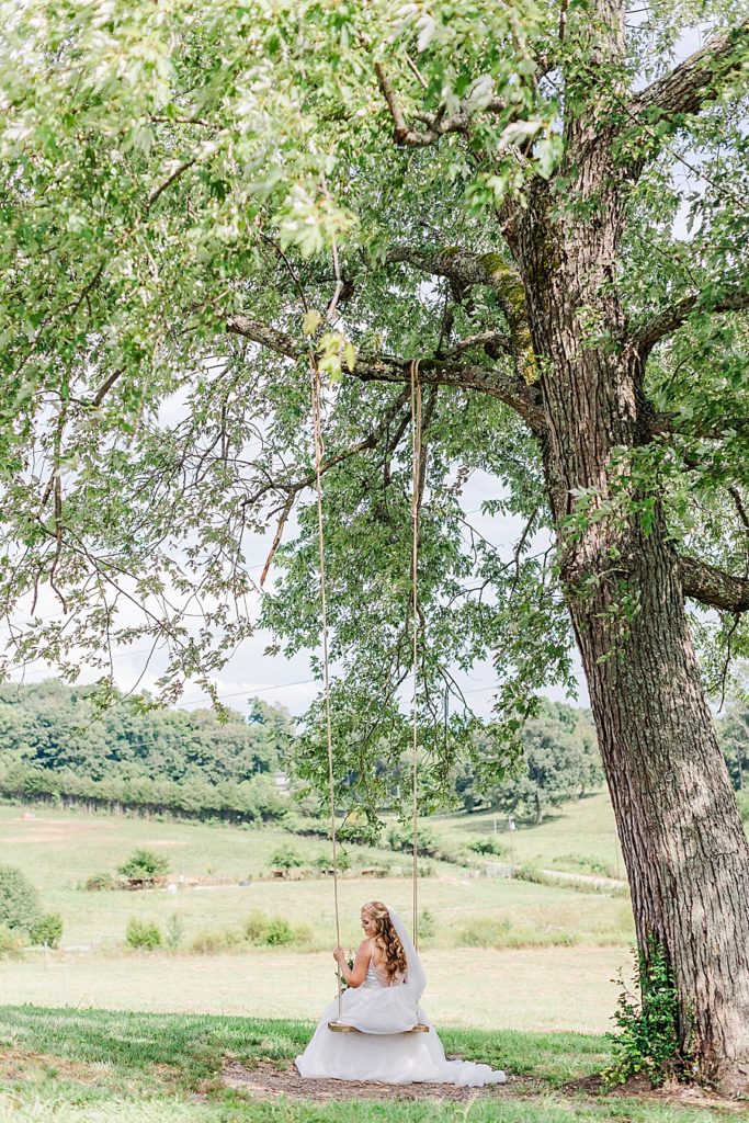 bride on a tree swing