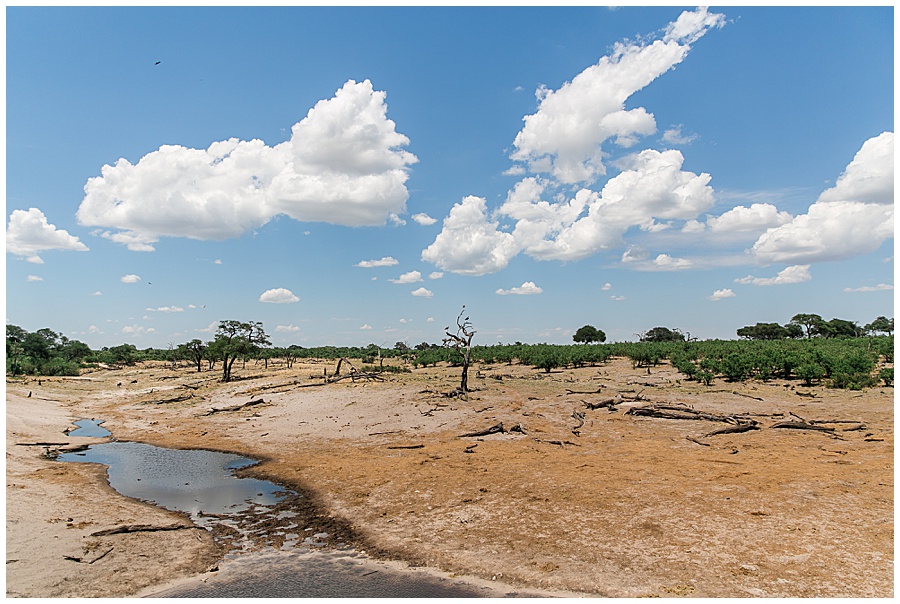 Chobe National Park Safari Botswana-1057_blog