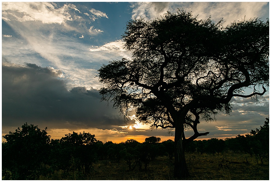 Chobe National Park Safari Botswana-1188_blog