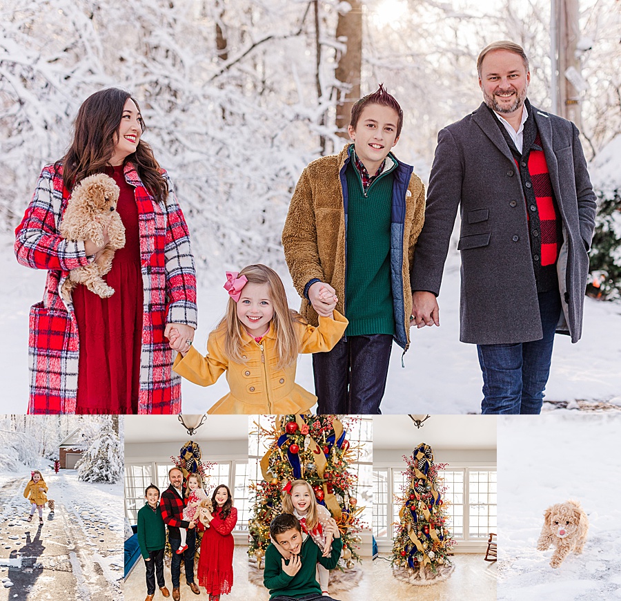 Snowy christmas family portriats