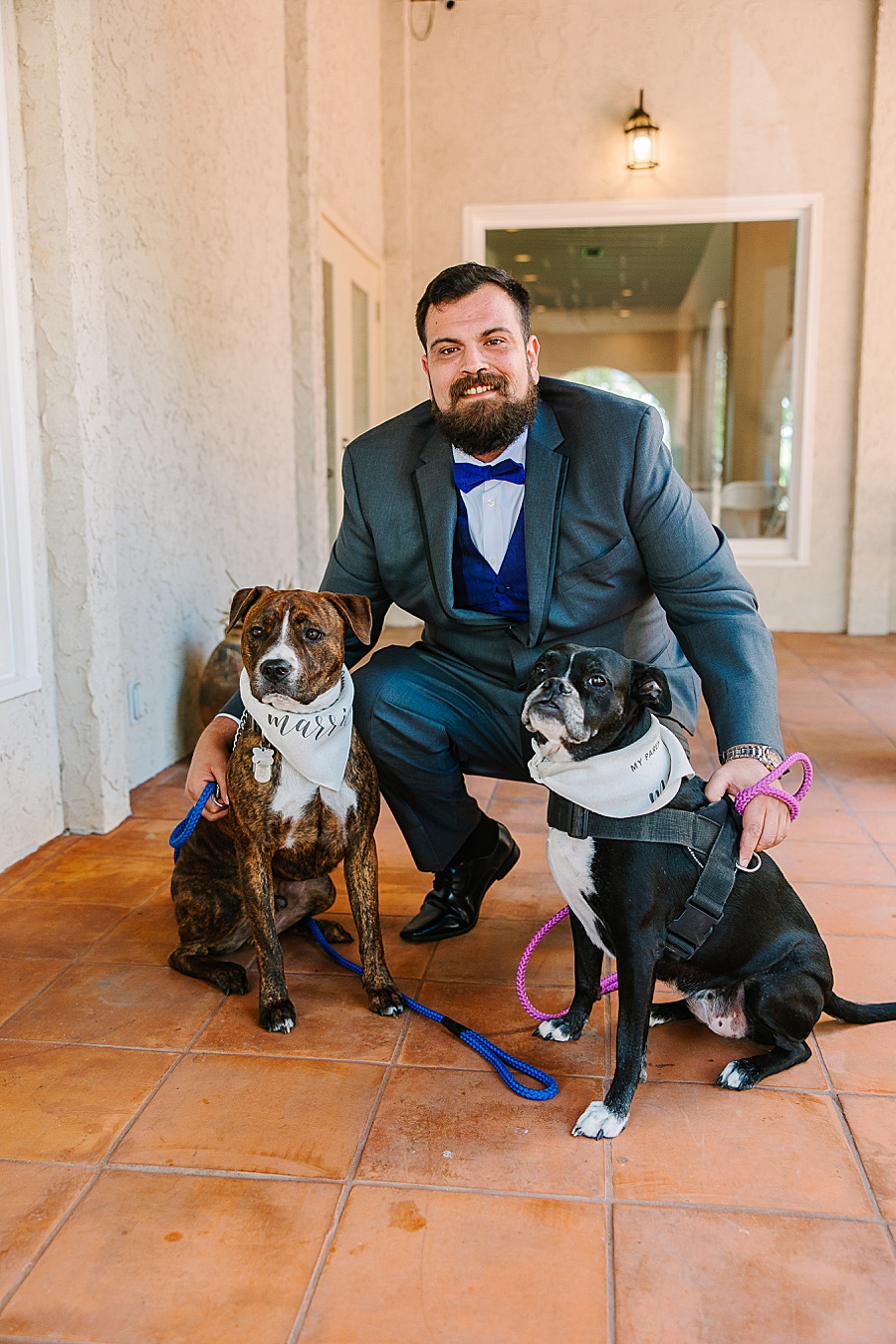 Groom with dogs on wedding day