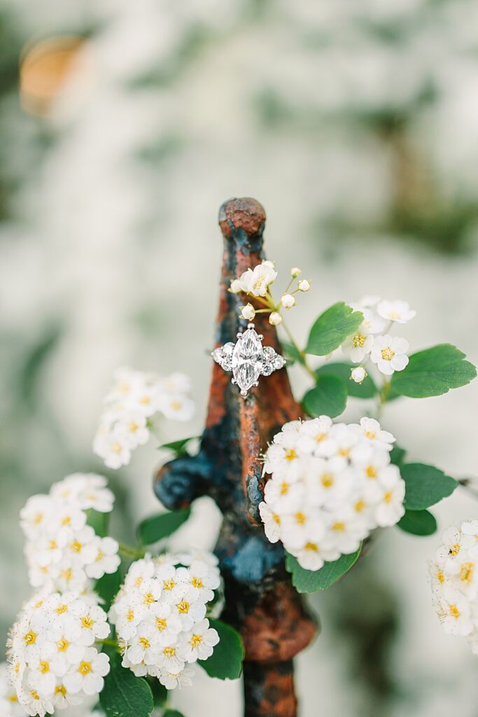detail shot of marquise cut diamond engagement ring on an iron fence post with white flowers