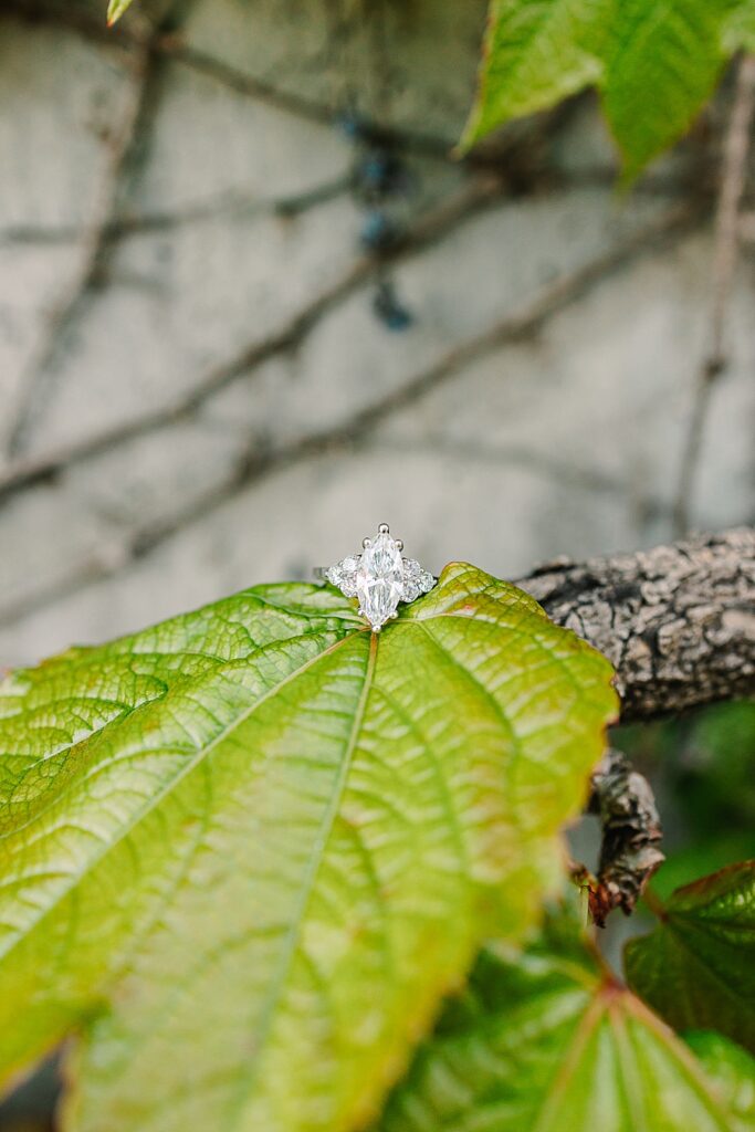 detail shot of marquise diamond wedding ring sitting on a leaf of ivy